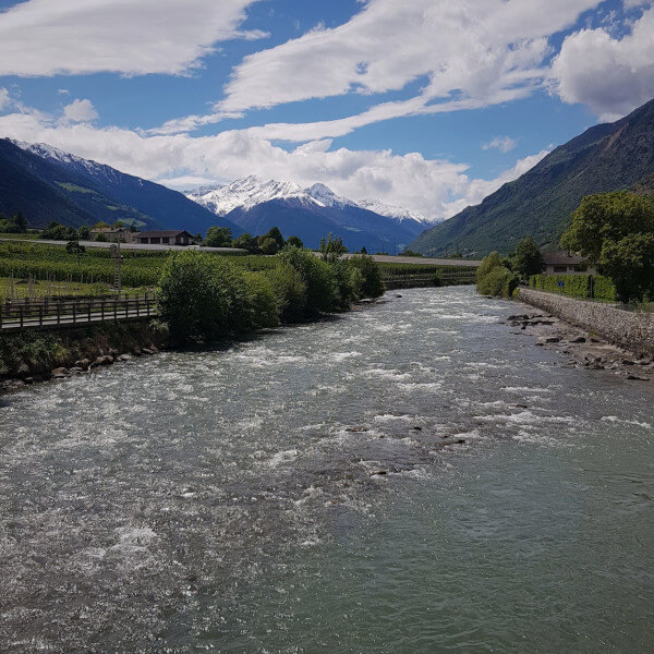 Etsch
