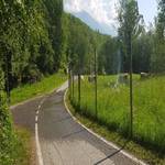 Radweg Vinschgau - Prad - Mals - 19