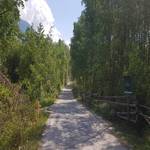 Radweg Vinschgau - Prad - Mals - 5