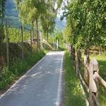 Radweg Vinschgau - Prad - Mals - 6