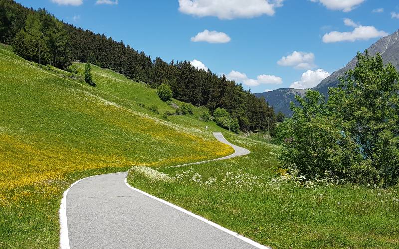 Asphaltierter Radweg am Westufer des Reschensees durch Wiesen im Frühling