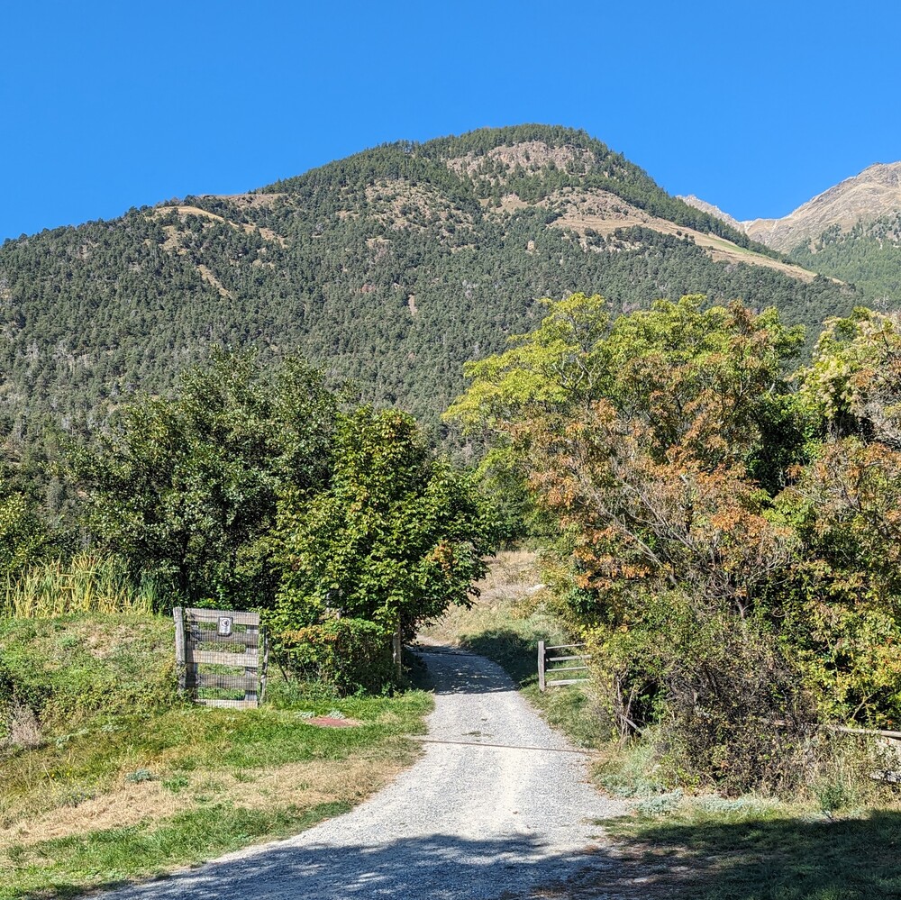 Schotterweg zum Schloss